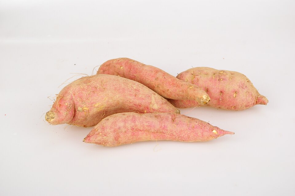 Food ingredients potato