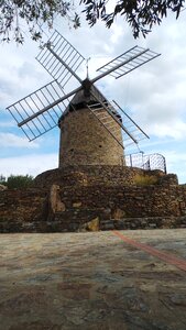 Old ancient vineyard photo