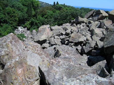 Stones rocks forest