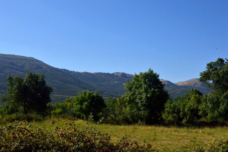 Green space mountains green trees
