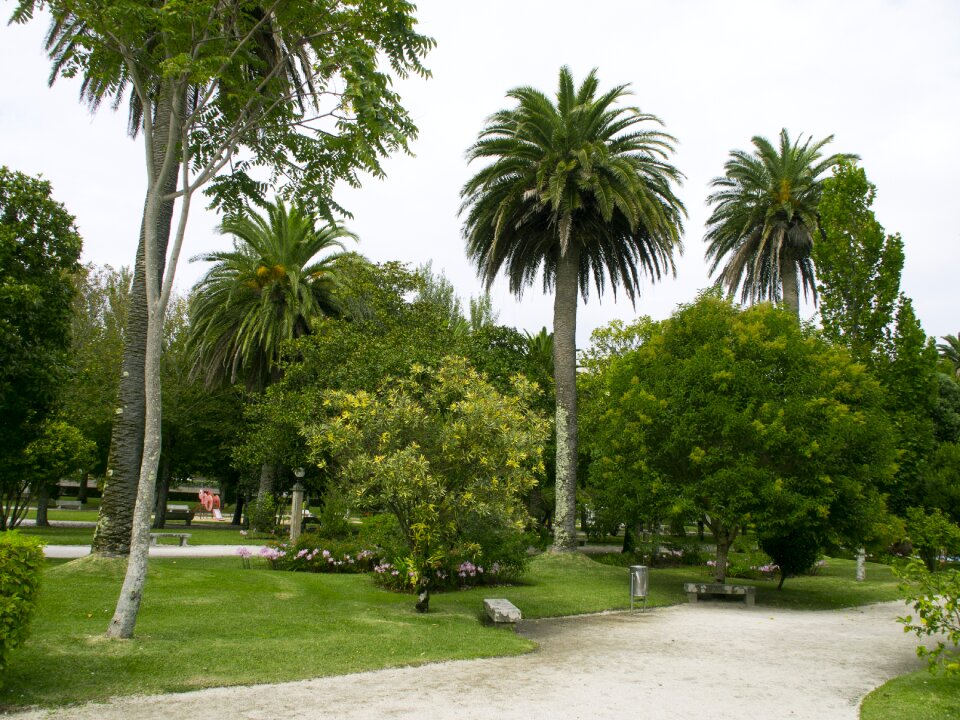 Palms green space holiday