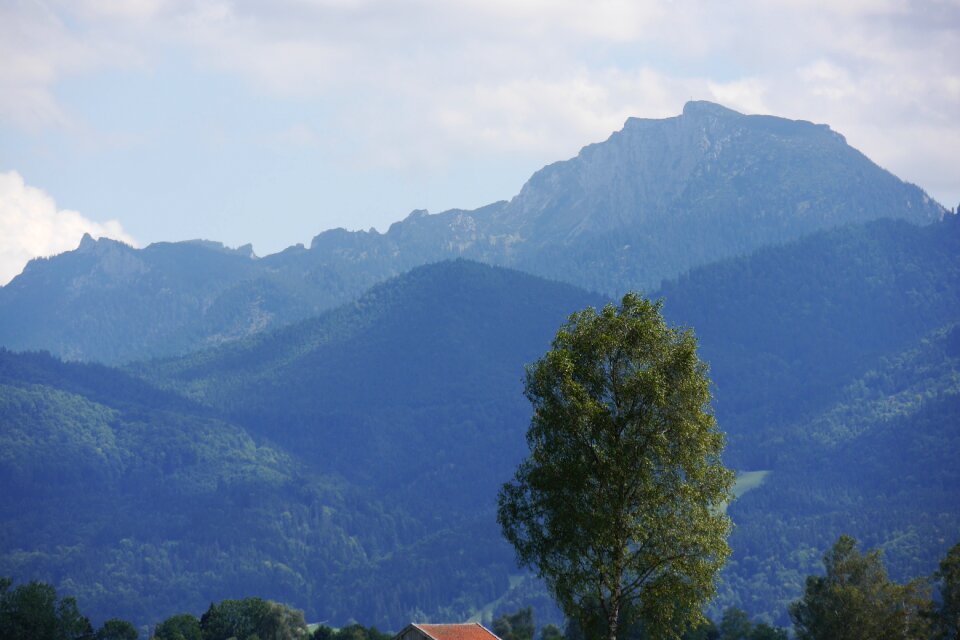 Cliff mountains tree photo