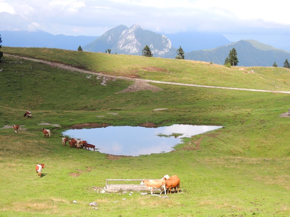 Mala planina lake nature