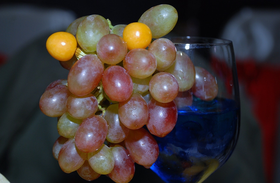 Ripe wine glass liquid