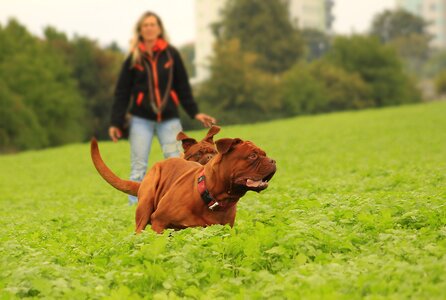 Outdoors summer funny