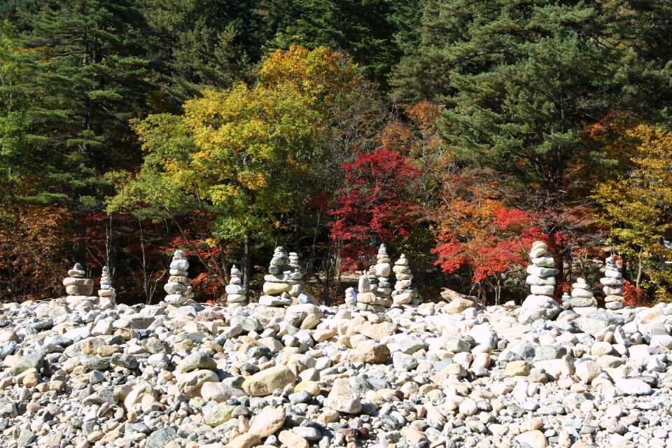 Fall foliage autumn leaves stone tower