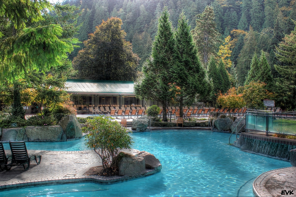 Water trees outdoor