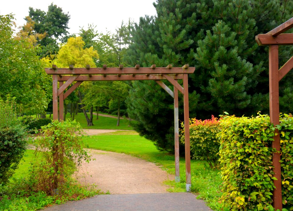 Green garden nature