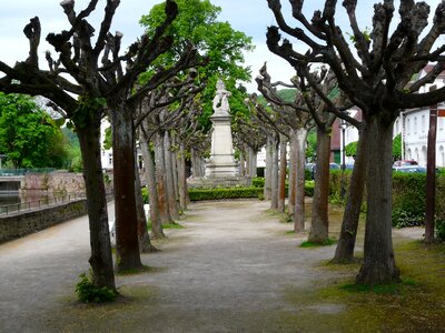 Tree park still image
