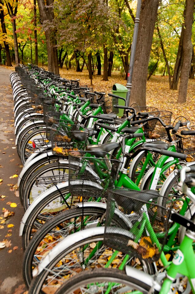 Sport urban public
