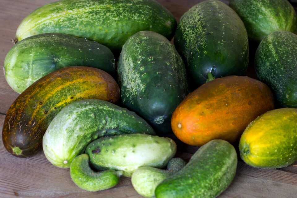 Vegetables cucumbers garden cucumber
