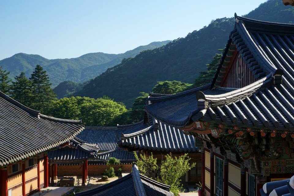 Mountain roof asian style