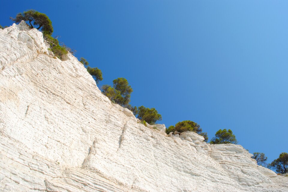 White rocks rock plants heaven