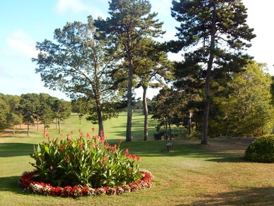 Golf course landscape fairway lifestyle