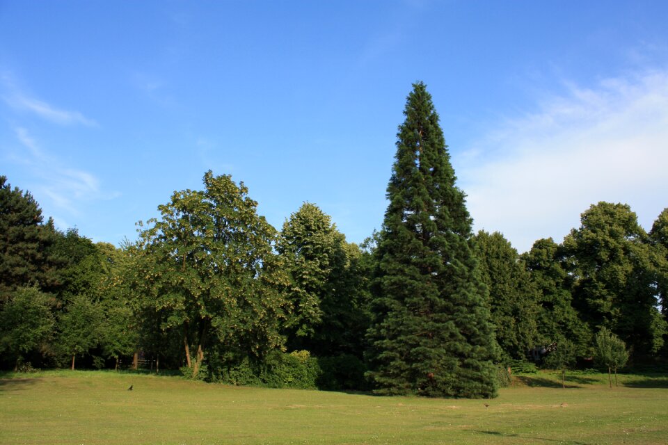 Nature rush garden