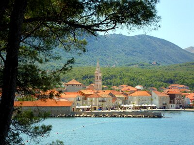 Tree harbour jelsa photo