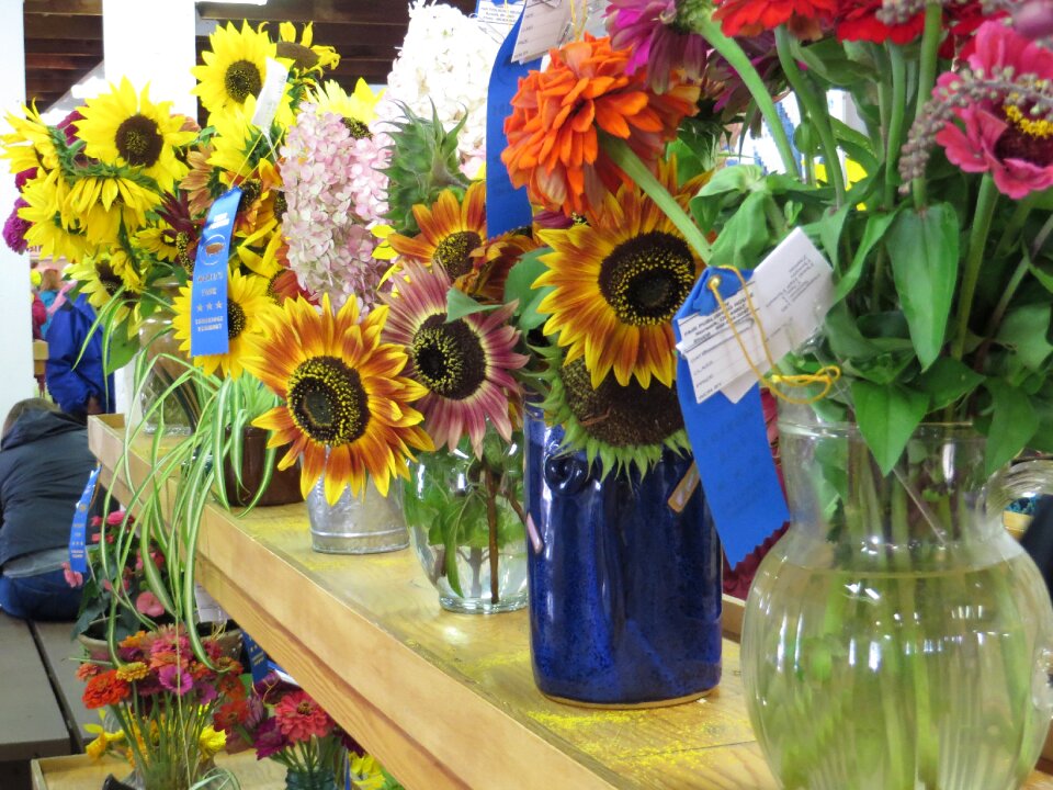 Bouquet of flowers vases sunflowers