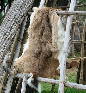 Fur coat tanning