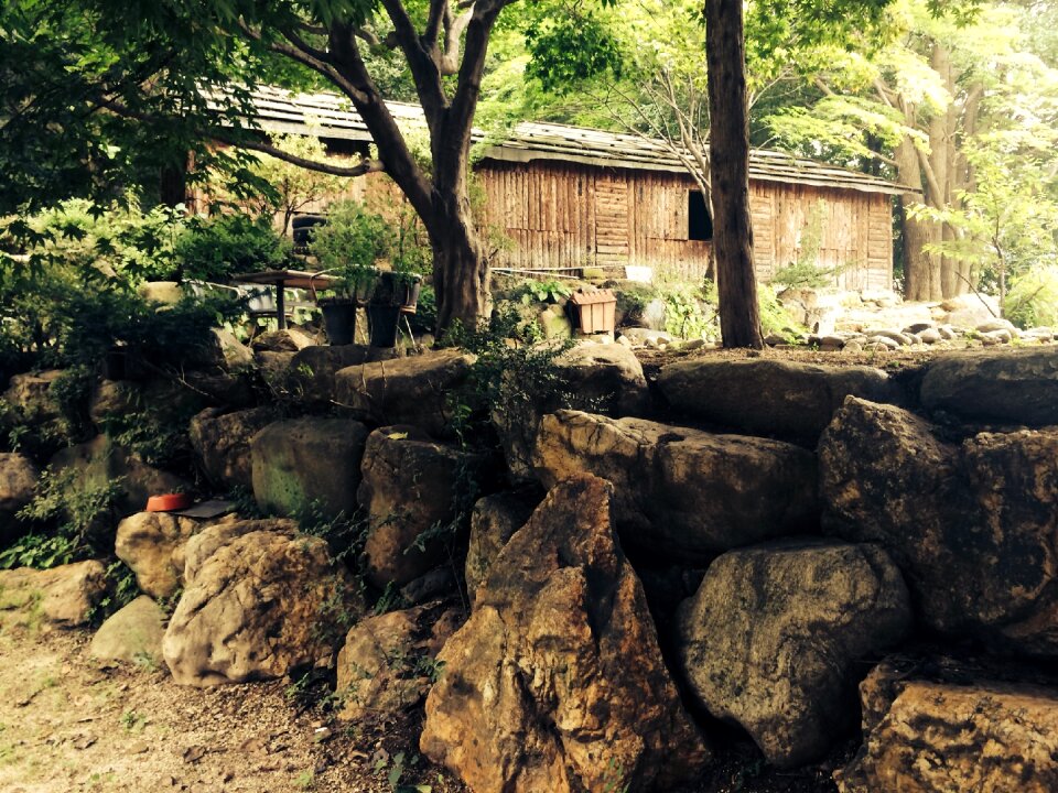 Village forest rock