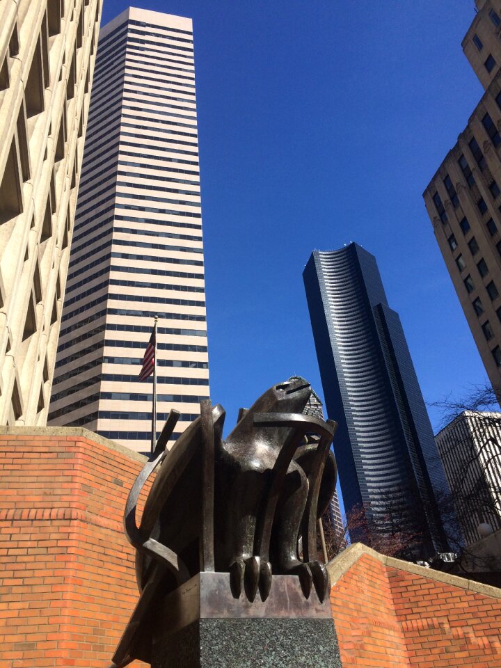 Bronze washington eagle