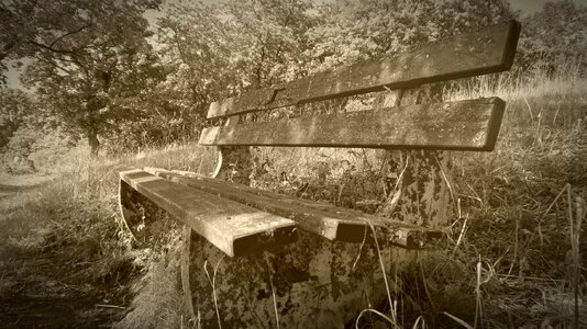 Seat rest wooden bench photo