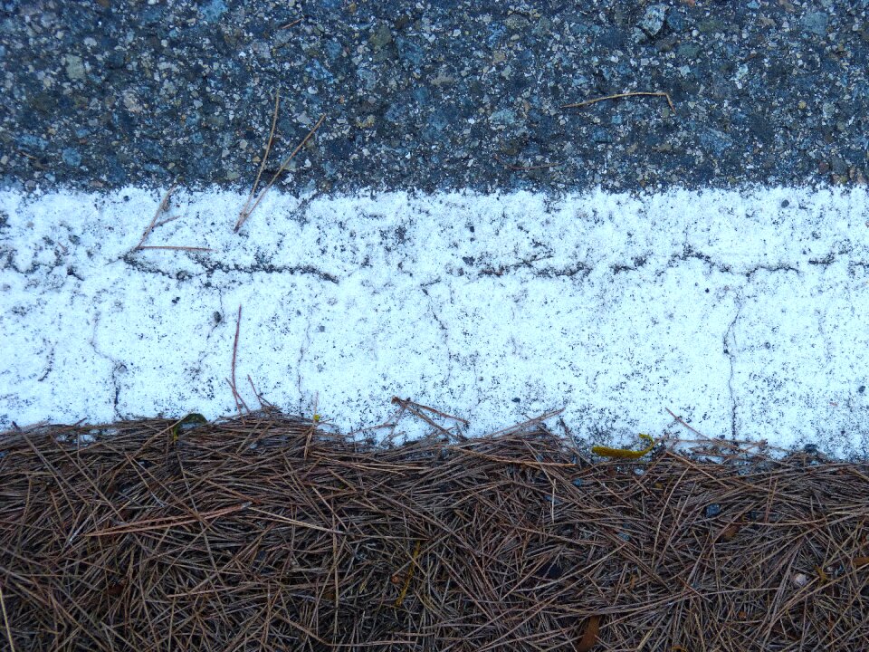 Asphalt pine needles online