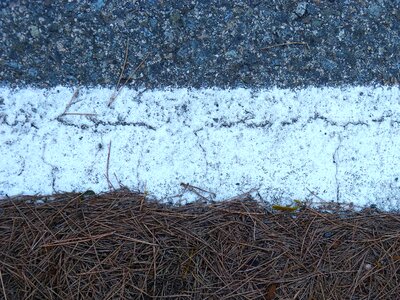 Asphalt pine needles online