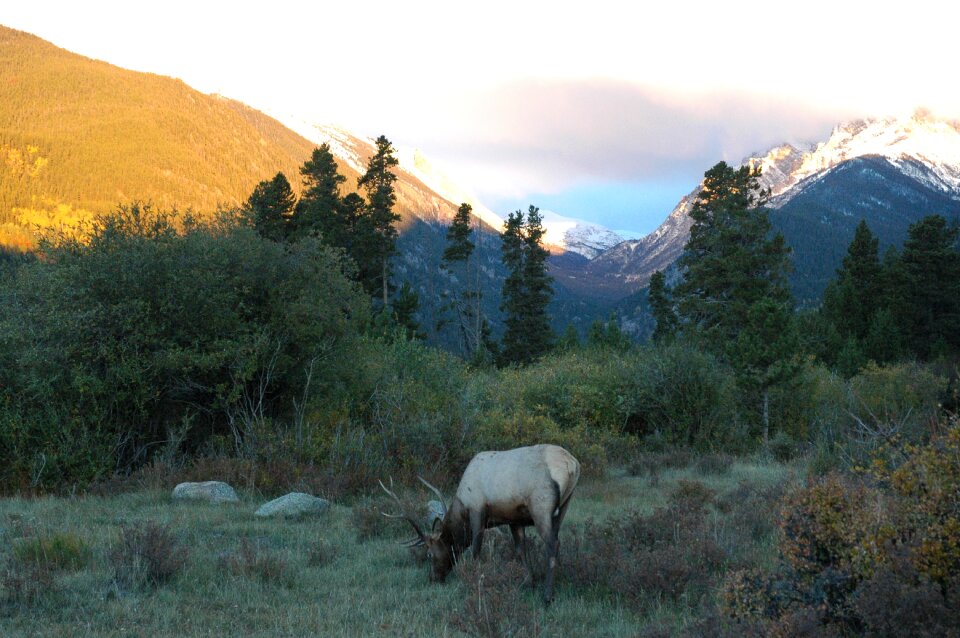 Colorado mountains outdoors rocky mountains