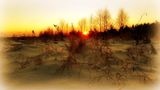 Winter sky landscape