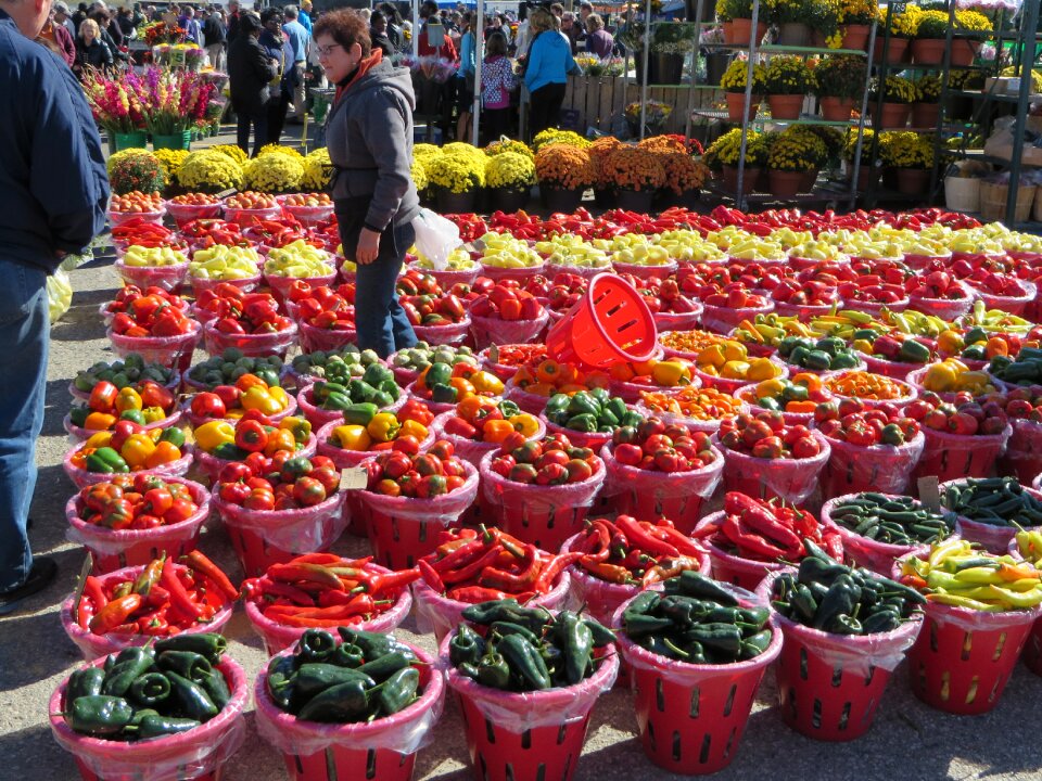 Fresh food colors