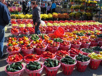 Fresh food colors