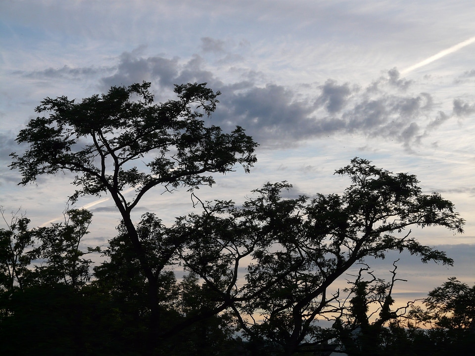 Mood landscape nature