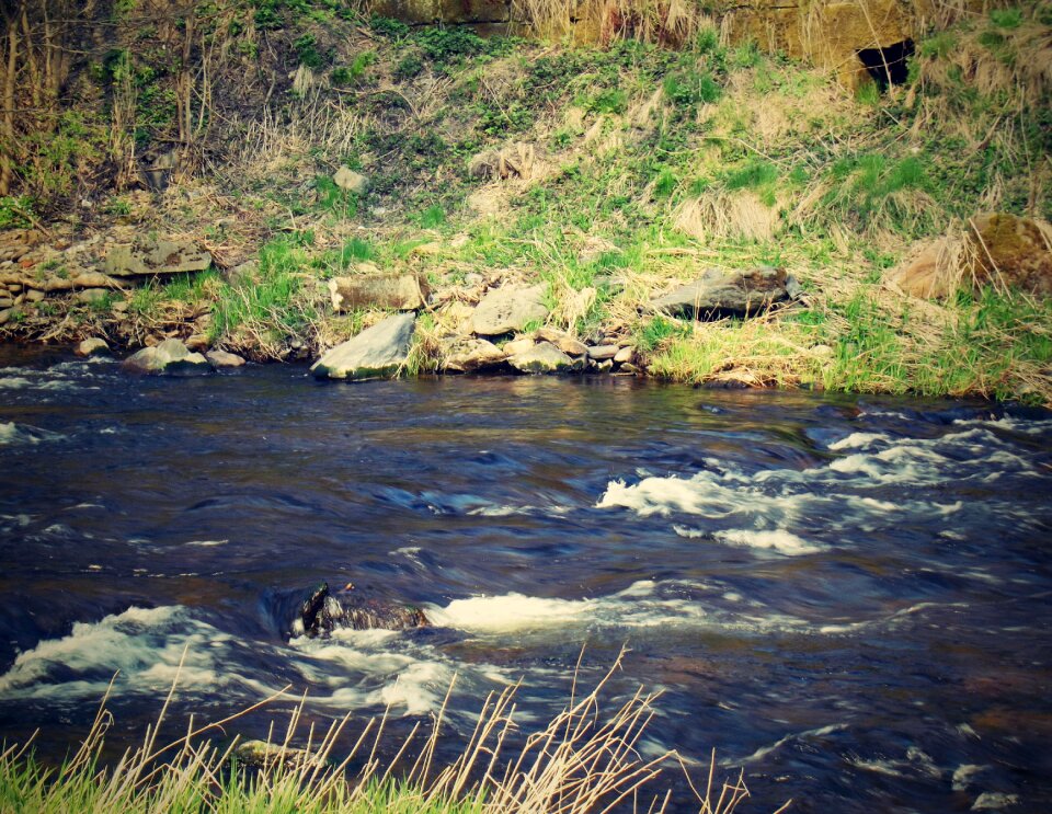 Eagle flowing river basin