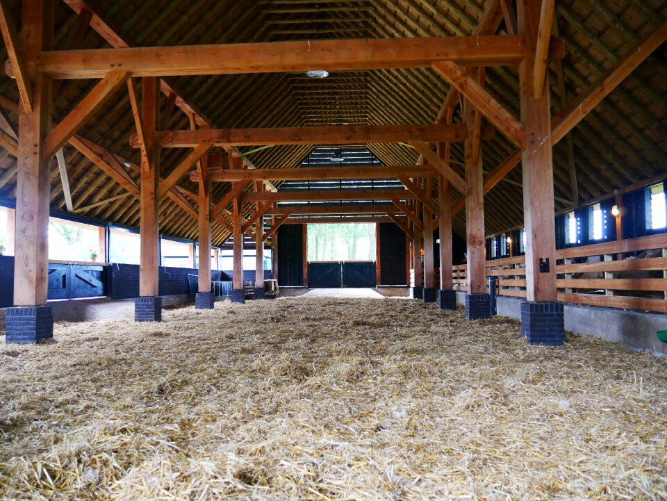 Sheepfold barn straw