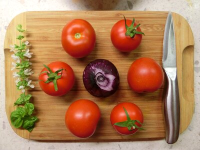 Basil salad healthy photo