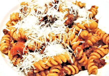 Cheese food