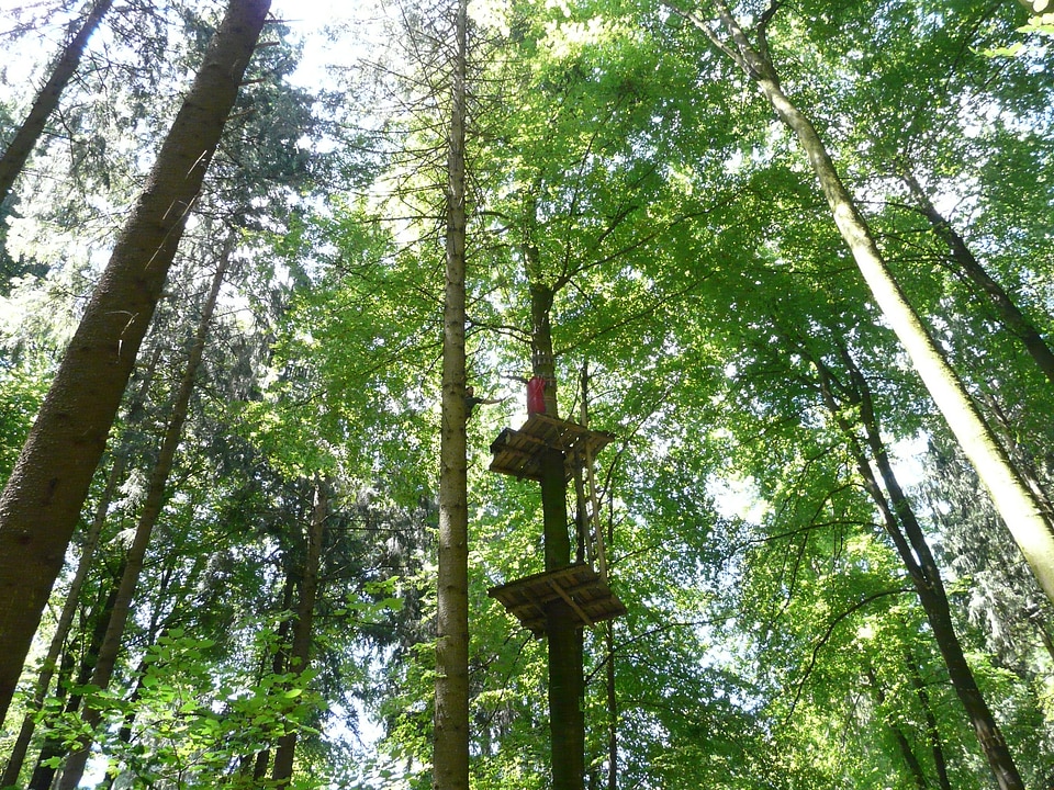 Drex forest ropes climbing garden