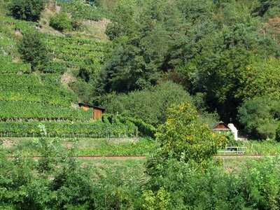 Wachau austria danube region