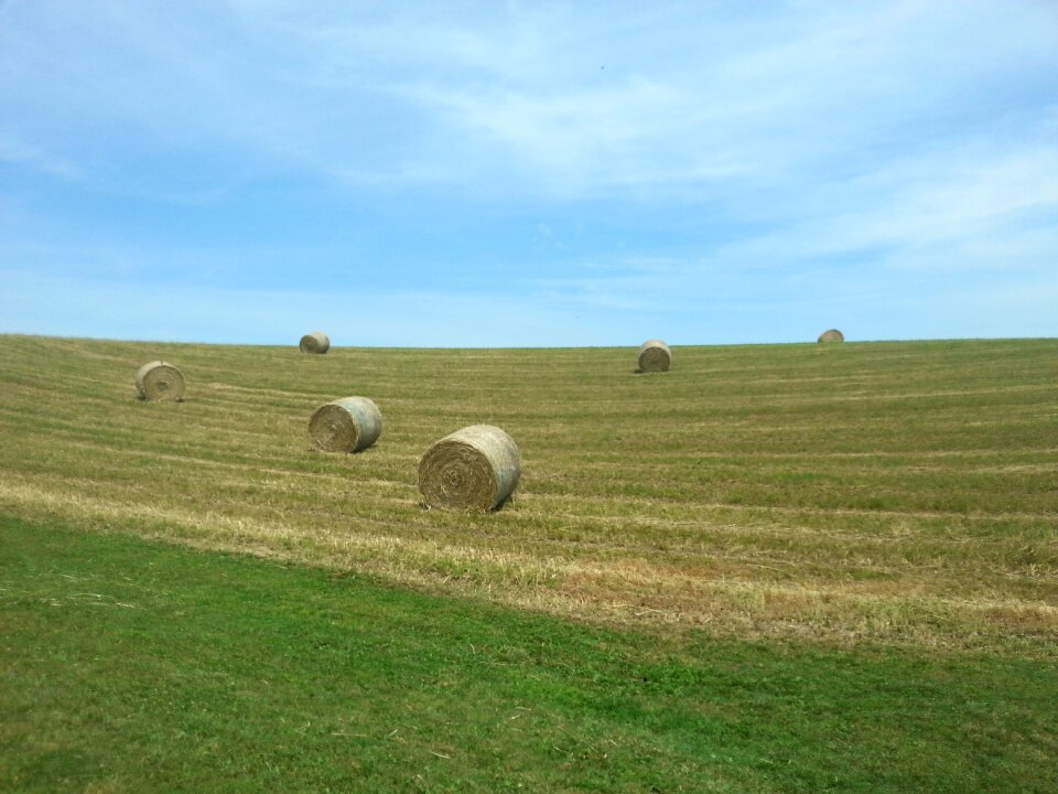 Field farm countryside