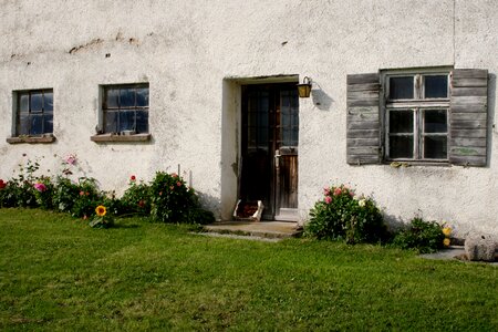 Install window flowers old