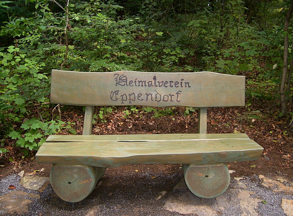 Forest nature bench