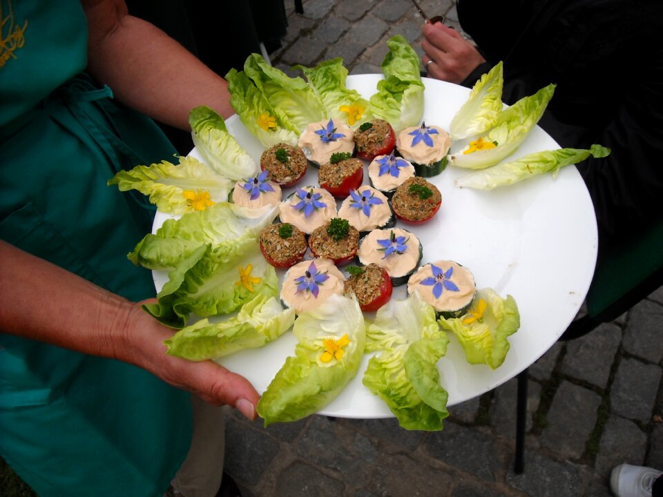 Vegetarianism chicory cooking