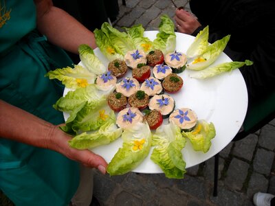 Vegetarianism chicory cooking photo