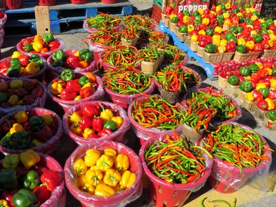 Market vegetable paprika photo