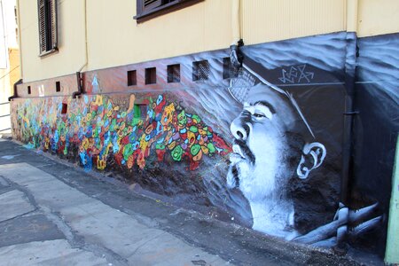 Mural urban art street art