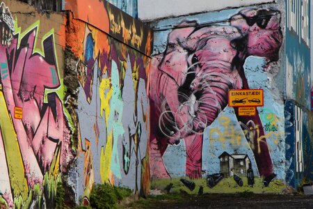 Elephant pink street art photo