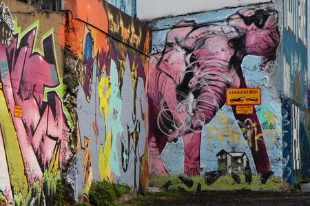 Elephant pink street art