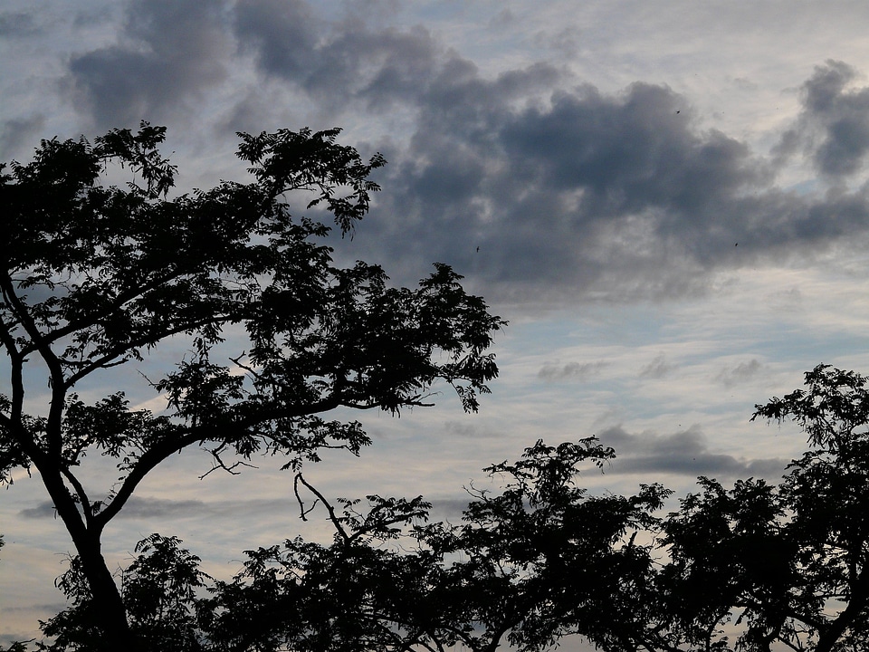 Mood landscape nature