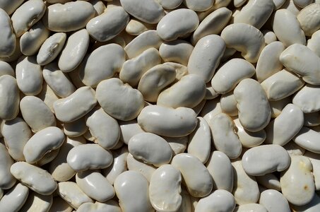 The cultivation of agriculture natural food