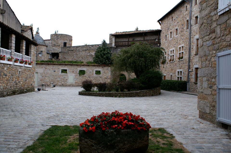 Courtyard red flowers trees